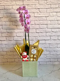 Combo Orquídea Rosa + Chocolate + Pelúcia + Vaso