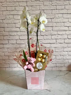 Combo Orquídea Branca + Chocolate + Pelúcia + Vaso